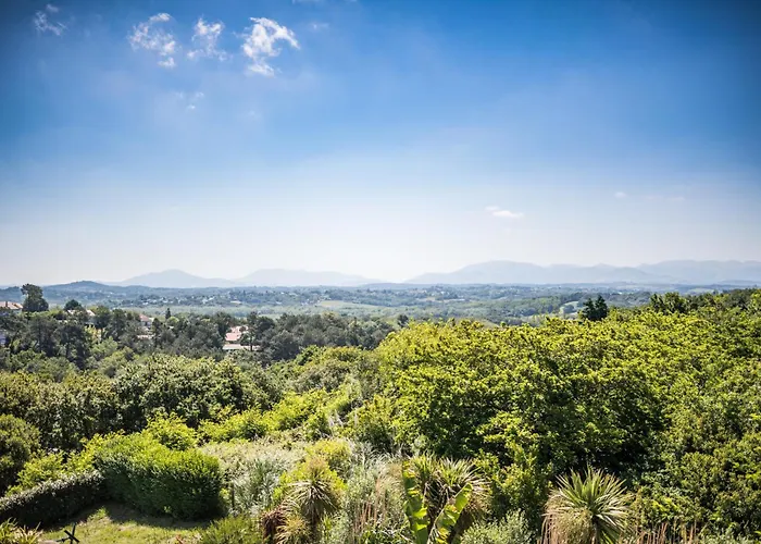 Camping Erreka 캠프장 비다르