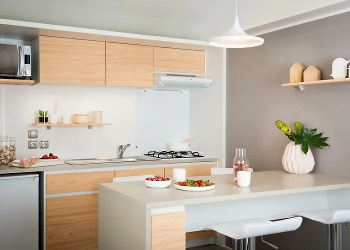 Camping Erreka 비다르